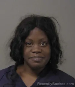 Mugshot of FELISHA T HAYES booked in Macon County, Illinois on June 22, 2026