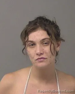 Mugshot of SIERRA LEE FOX booked in Macon County, Illinois on June 25, 2026