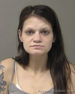 Mugshot of BRANDI LEIGH FARVE booked in Macon County, Illinois on June 29, 2026
