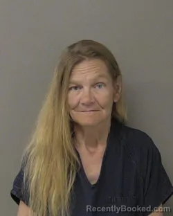 Mugshot of LADONNA KAYE DANIELS booked in Macon County, Illinois on June 29, 2026