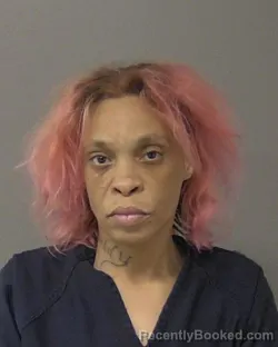 Mugshot of OCTAVIA CHANELL SPARKS booked in Macon County, Illinois on June 29, 2026