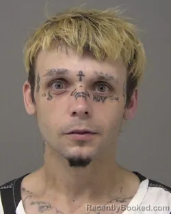 Mugshot of SKYLER JAMES BOWMAN booked in Macon County, Illinois on July 2, 2026