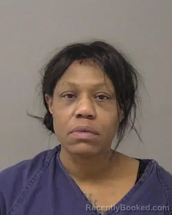 Mugshot of DONNAE MICHELLE LAKE booked in Macon County, Illinois on July 3, 2026