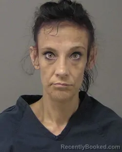 Mugshot of NICHOLE MARIE MILEHAM booked in Macon County, Illinois on July 3, 2026