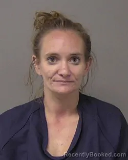 Mugshot of CRYSTAL DAWN SCHULTZ booked in Macon County, Illinois on July 5, 2026