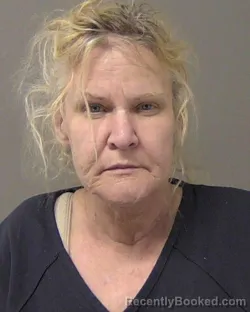 Mugshot of MICHELE LYNN POWARS booked in Macon County, Illinois on July 7, 2026