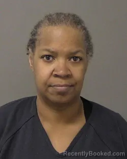 Mugshot of CAROLYN ANN CURRIN booked in Macon County, Illinois on July 7, 2026