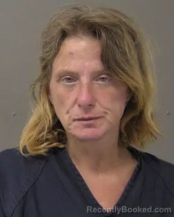 Mugshot of MINDY LEE TERRY booked in Macon County, Illinois on July 7, 2026