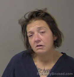 Mugshot of CATHLEEN MICHELE SINDON booked in Macon County, Illinois on July 8, 2026