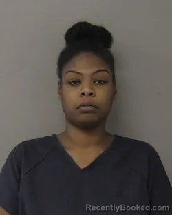 Mugshot of TAYLOR NICOLE HUDSON booked in Macon County, Illinois on July 8, 2026