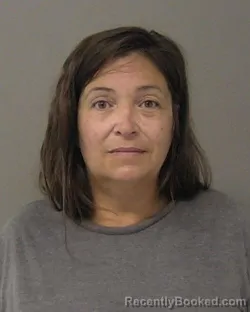 Mugshot of CARRIE NICOLE ANDERSON booked in Macon County, Illinois on July 9, 2026