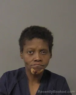Mugshot of SHALONDA PATRICE MCDONALD booked in Macon County, Illinois on July 10, 2026