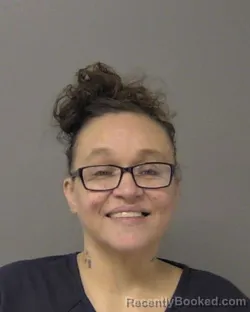 Mugshot of MARY DAYLE HAMES booked in Macon County, Illinois on July 11, 2026