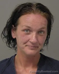 Mugshot of APRIL D CRAMER booked in Macon County, Illinois on July 12, 2026