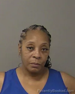 Mugshot of DEANN MARIE WILLIAMS-COBB booked in Macon County, Illinois on July 13, 2026