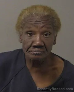 Mugshot of ALBERTA RENE BUSBY booked in Macon County, Illinois on July 14, 2026