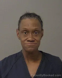 Mugshot of MELODY RENEE ELLIS booked in Macon County, Illinois on July 14, 2026
