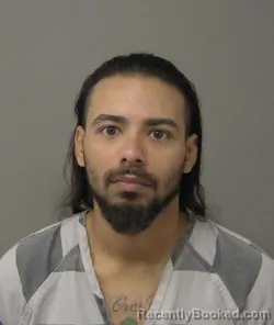Mugshot of ELISEO M VELLON booked in Macon County, Illinois on July 15, 2026