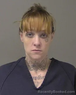 Mugshot of ASHLEY NICOLE WILLS booked in Macon County, Illinois on July 27, 2026