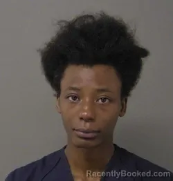 Mugshot of Caitlin Diane Amos booked in Macon County, Illinois on August 13, 2026