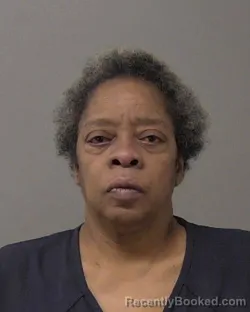 Mugshot of Rita Lorraine Cobb booked in Macon County, Illinois on August 22, 2026