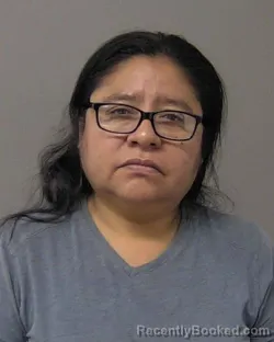 Mugshot of Faustina Medel-Mendoza booked in Macon County, Illinois on August 22, 2026