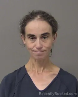 Mugshot of Susan Ann Haugaard booked in Macon County, Illinois on August 27, 2026