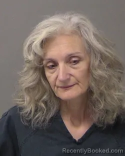 Mugshot of Lisa Anne Thompson booked in Macon County, Illinois on August 28, 2026
