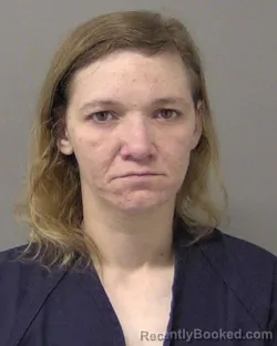 Mugshot of Danielle Michelle Headrick booked in Macon County, Illinois on September 2, 2026