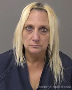 Mugshot of Denise Lynn Sumpter booked in Macon County, Illinois on October 9, 2026