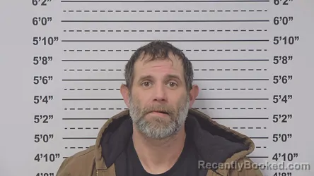 Mugshot of DAVID LANE