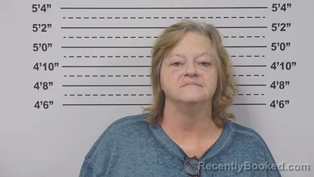 Mugshot of DONNA EMERSON