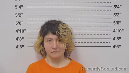 Mugshot of JADA SALAZAR
