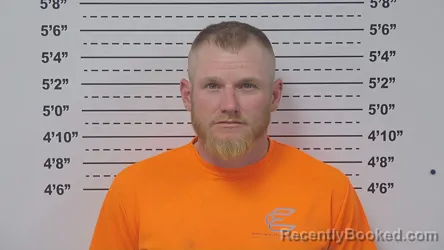 Mugshot of DILYNN SCHEHL booked in Macoupin County, Illinois on March 29, 2026