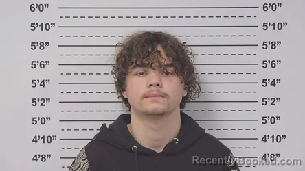 Mugshot of NICKOLAS JOHNSTON booked in Macoupin County, Illinois on April 28, 2026