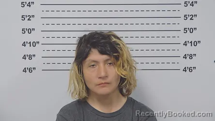 Mugshot of JADA SALAZAR booked in Macoupin County, Illinois on May 1, 2026
