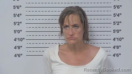 Mugshot of KELLY GORETZKE booked in Macoupin County, Illinois on May 12, 2026
