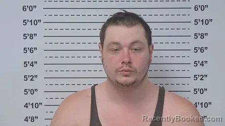 Mugshot of WILLIAM WERNER booked in Macoupin County, Illinois on May 13, 2026