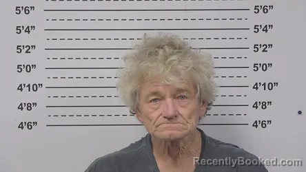 Mugshot of RICHARD WALLIS booked in Macoupin County, Illinois on May 26, 2026