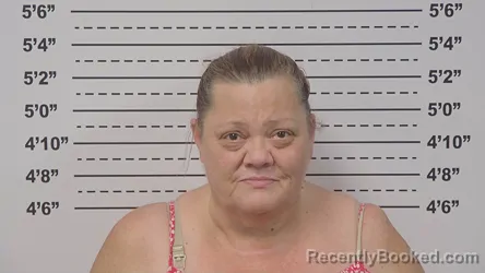 Mugshot of GINGER KROLL booked in Macoupin County, Illinois on June 2, 2026