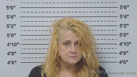 Mugshot of CHRISTINE TAUL booked in Macoupin County, Illinois on June 19, 2026