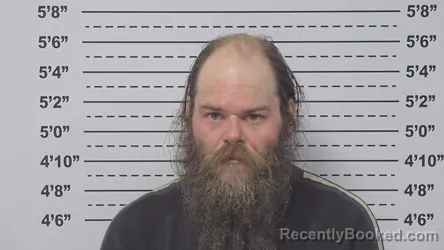 Mugshot of DAVID HAMMANN booked in Macoupin County, Illinois on July 7, 2026