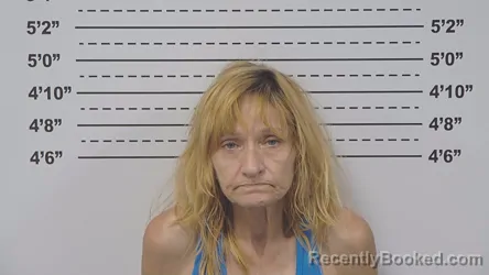 Mugshot of MICHELLE HEATON booked in Macoupin County, Illinois on July 14, 2026