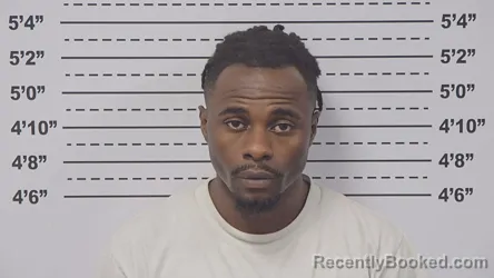 Mugshot of Abdirahmani Hassani booked in Macoupin County, Illinois on August 12, 2026