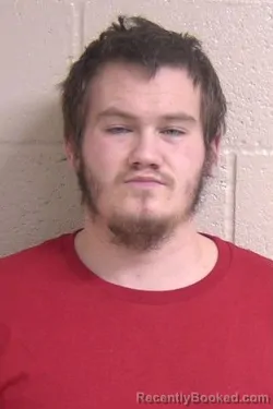 Mugshot of ROWAN COOK