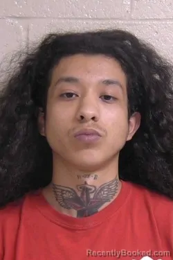 Mugshot of MISAEL ATILANO booked in Madison County, Illinois on March 30, 2026