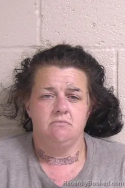 Mugshot of KRYSTAL ADAMS booked in Madison County, Illinois on April 17, 2026