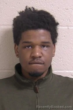 Mugshot of TERRION ROSS