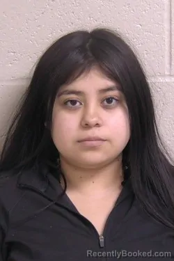Mugshot of JENIFER OCHOA