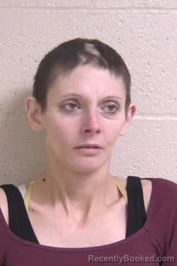 Mugshot of SARAH LIVINGSTON booked in Madison County, Illinois on April 25, 2026